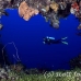 swimthru_rg_lc_h_0059_cay0062.jpg